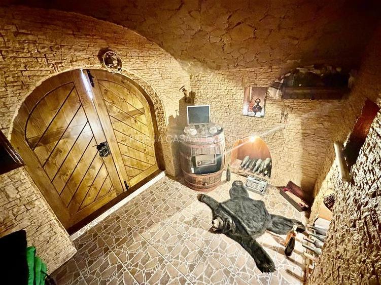 Casa vile de vânzare Buciuim-iasi - 10