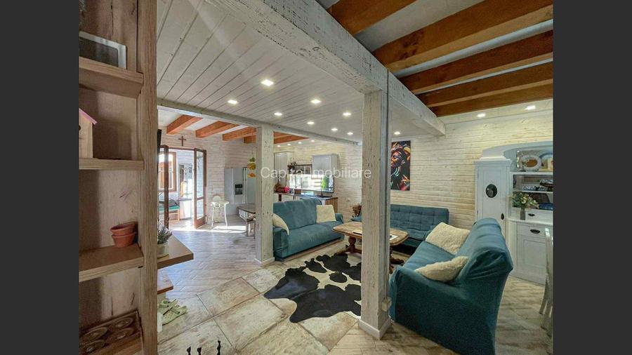 Casa de vacanta superba in Crivaia - 3