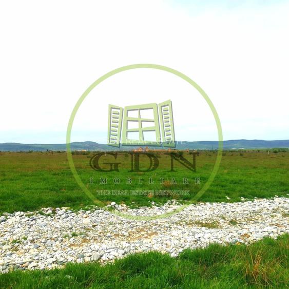 Terenuri extravilane  / 1000 mp, 2000 mp,  7.000 mp/  Valea Avrigului - 7