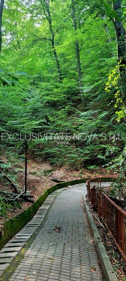 0% Vanzare teren si constructie Locatie de exceptie Calimanesti Calea lui Traian - 8