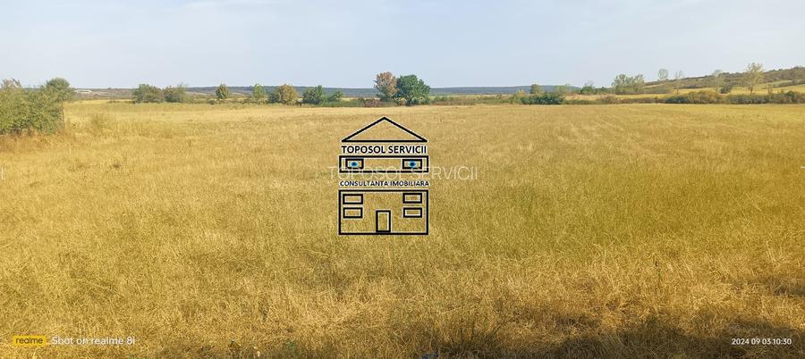 Teren de vanzare in localitatea Husasau de Tinca - 3