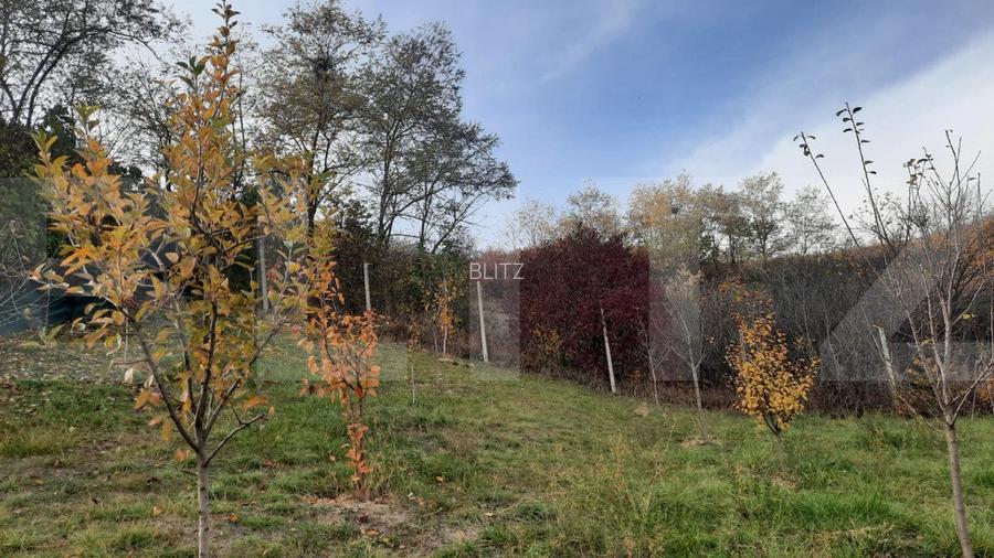 De vanzare casa individuala,135 mp utili, 1553 mp teren - 11