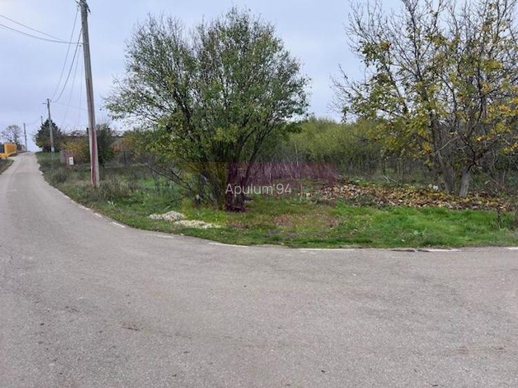 Teren Comana- strada Funieru. - 4