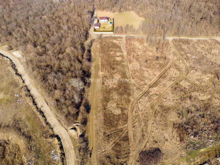 Teren intravilan Măgurele langa padurea Cornetu si Arges - 13