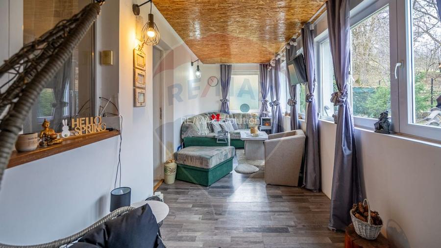 Casa de vanzare Sinca Noua/ Priveliste de vis/ De vanzare! - 4