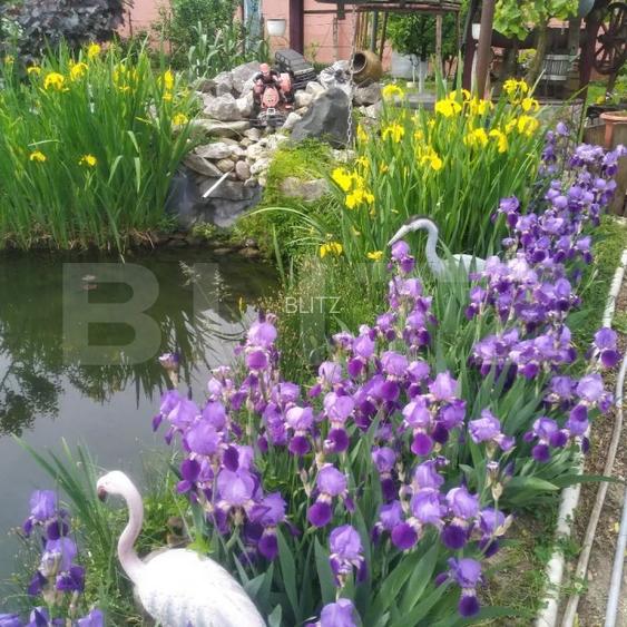 Casa 6 camere, 250 mp, zona Luncani - 7