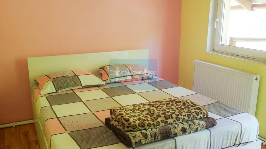 Casa de vacanta perfecta pe malul Cernei  - 10