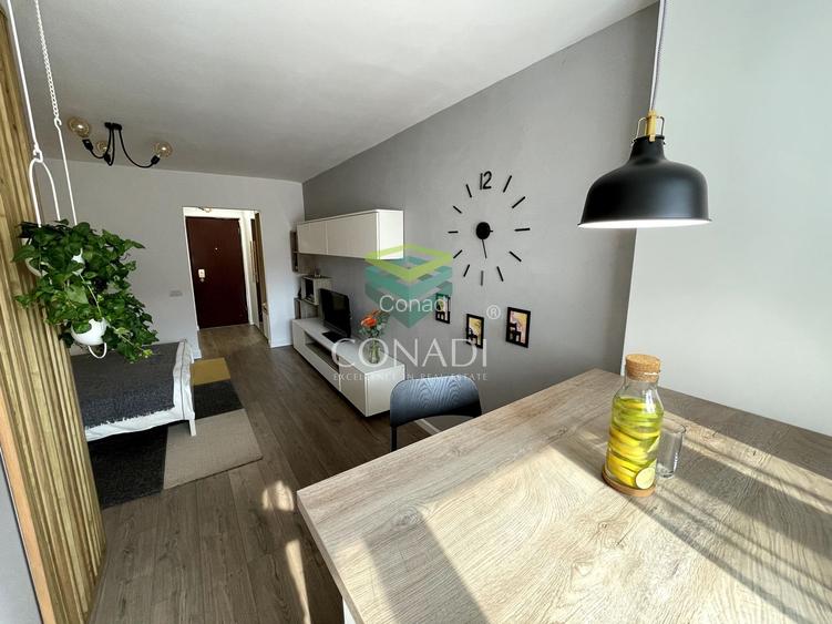 Garsoniera renovata modern str Nada Florilor - Teiul Domnei - 37