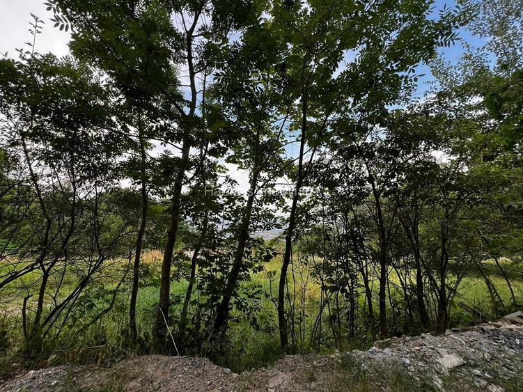 Teren cu panorama asupra Clujului, zona accesibila cu vile- Feleacu - 6