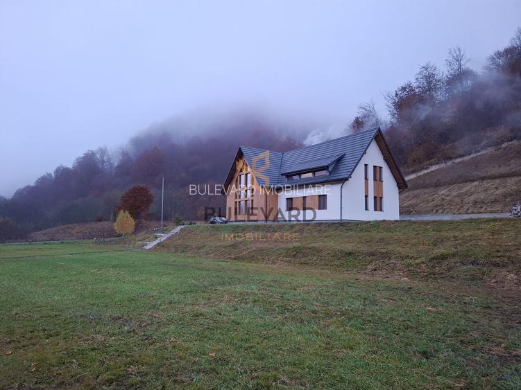 Proprietate cu potențial turistic în zona montană a Țării Lăpușului - 38