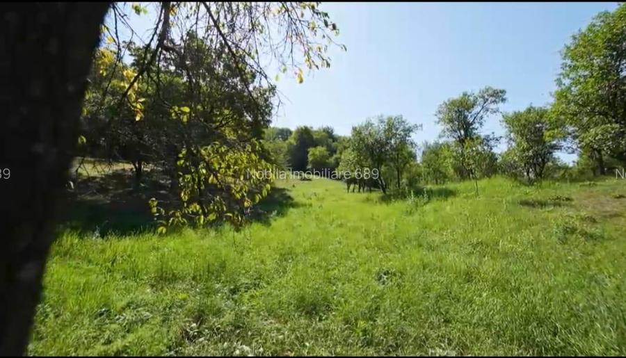 Teren intravilan + extravilan 10.537 mp – casa, livada sau ferma de familie - 6