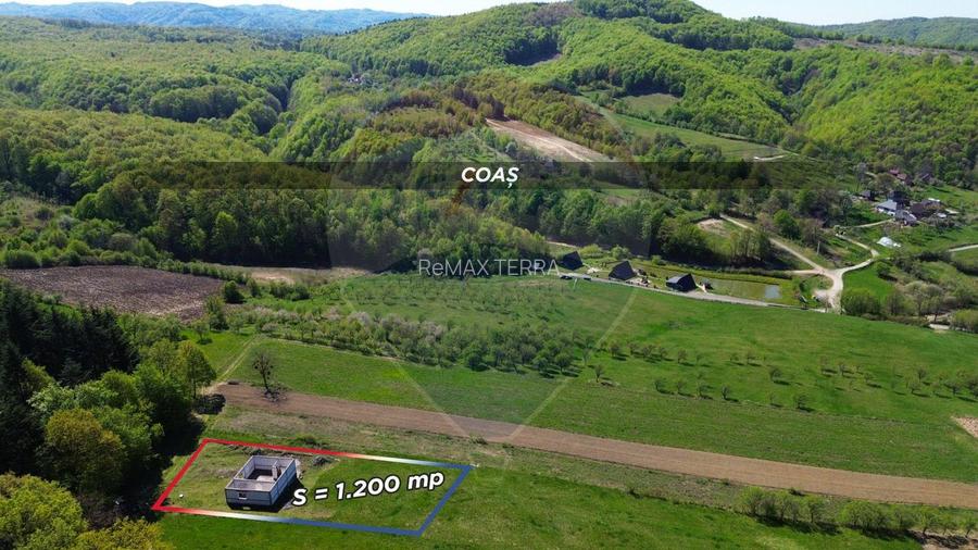 Proprietate de vanzare langa liziera pădurii Coas - 4