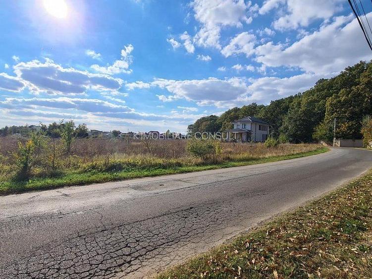 Corbeanca Padure 721 mp - 4