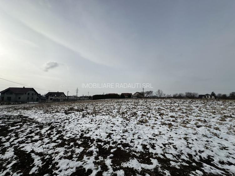 Teren intravilan | 61 ari | Parcelabil | Radauti - 3