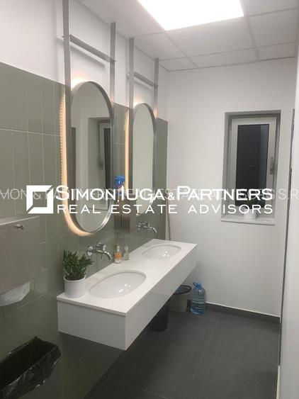 Birouri de inchiriat Brancusi - 14