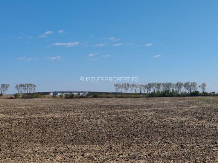 Teren de 19.000 mp de vanzare in Ștefanestii de Jos - ideal pentru hale. - 2