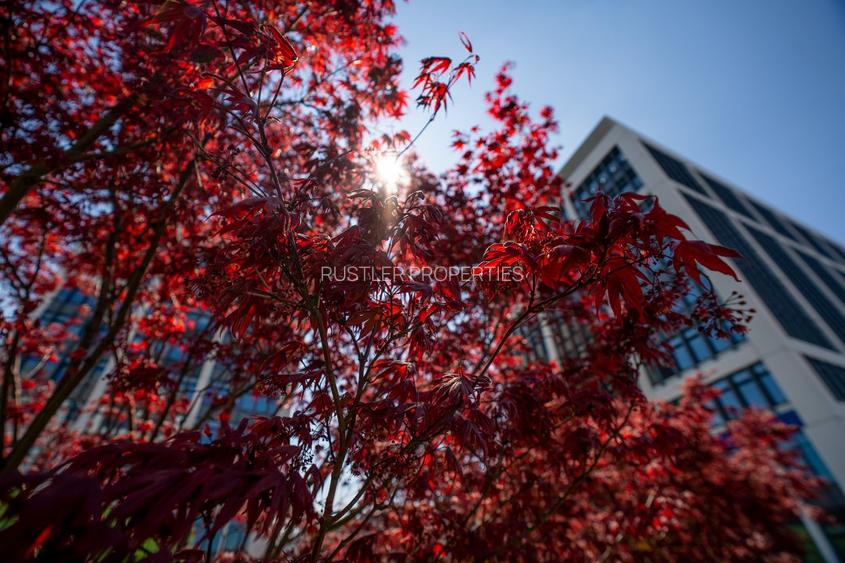 Birouri de inchiriat in Bucharest Business Garden - cladirea B - 8