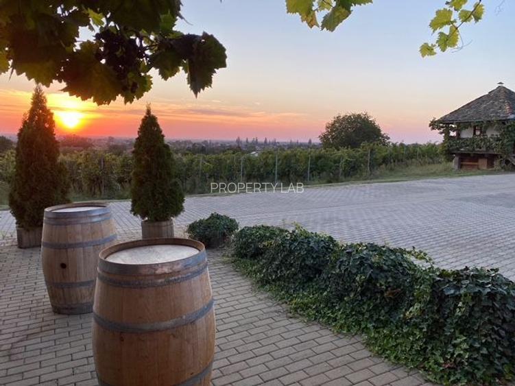 Pivnițele Birăuaș D.O.C Miniș - RATE FĂRĂ DOBÂNDĂ - 47