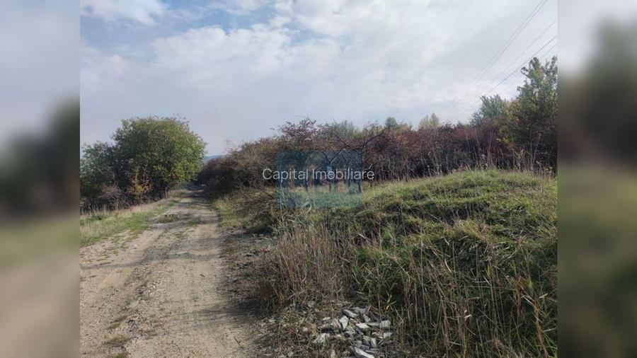 Comision 0%! Teren extravilan 2000mp, front 50m, Wonderland - 3