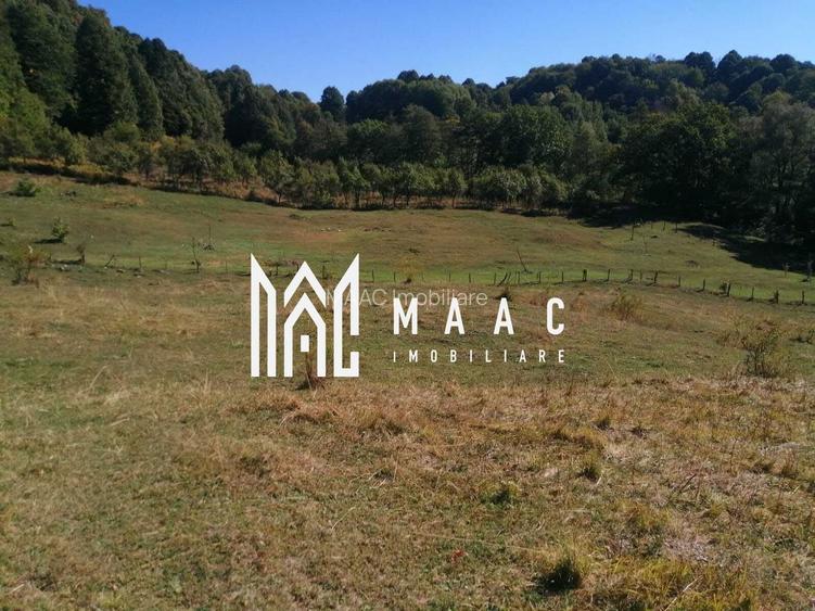 Teren Extravilan 20.000Mp I Stoenești -Vâlcea I Apă Curentă și Pădure - 2