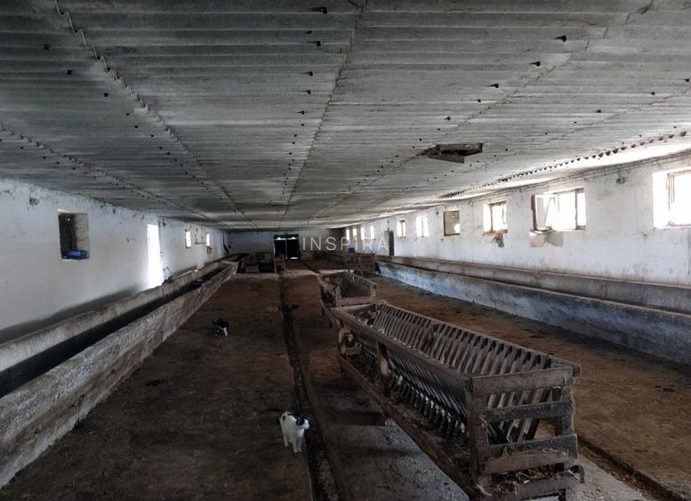 Ferma cu hale 3000 mp si teren 12000 mp, 30 km de Constanta - 5