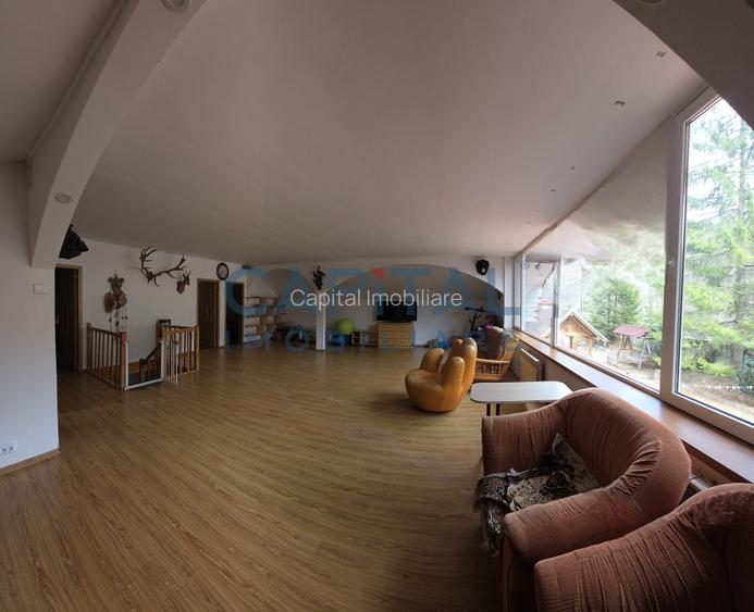 Cabana la munte Rucar / Satic - 19