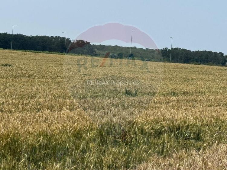Vanzare Teren pentru dezvoltare mixta acces A0, Vadul Anei/ Branesti - 7