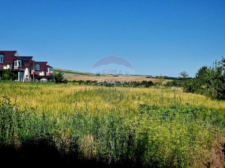 Teren intravilan Piatra Neamt - 4