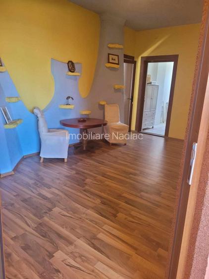 ViLA de LUX  cu un DESIGN deosebit in centrul orasului Nadlac - 11