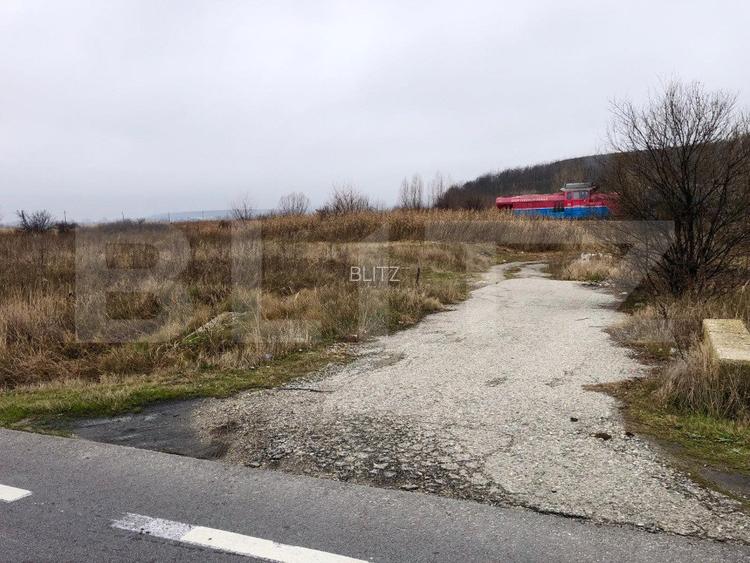 Teren intravilan industrial, 41.000 mp, front 117 m, Isalnita - DE70 - 3