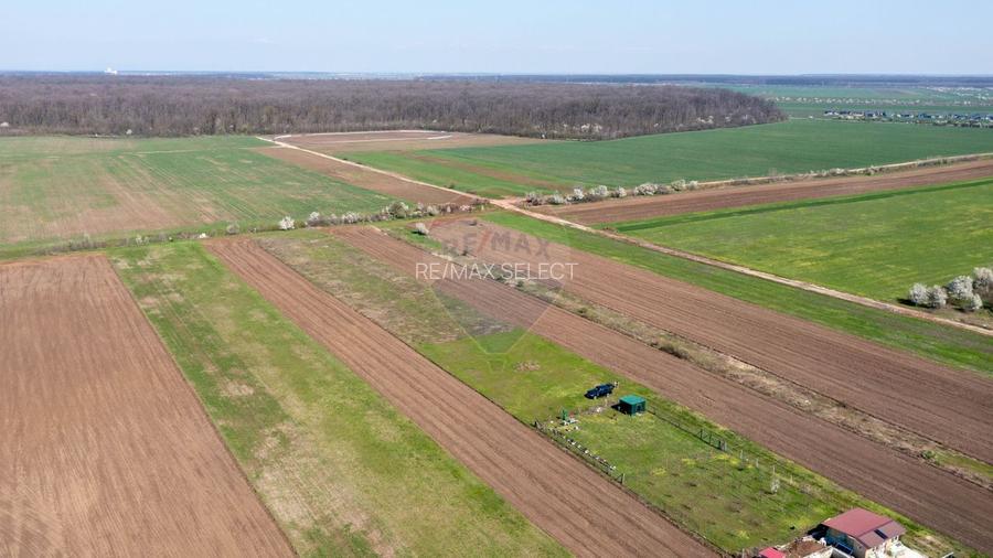 Vanzare teren intravilan 500 mp Sabareni /  Strada Orhideelor - 16
