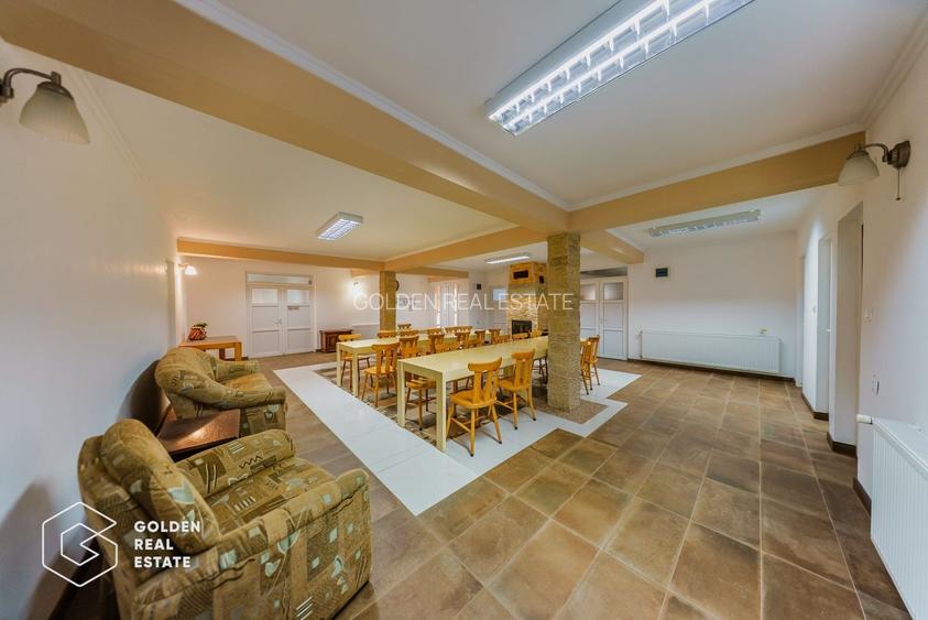 Proprietate pretabila pentru afacere, Cladova - 21