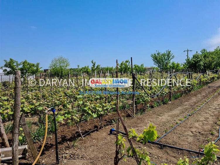 Teren in Poienari Apostoli, 21 E mp, Avantajos, DN1, 34.500 euro - 2