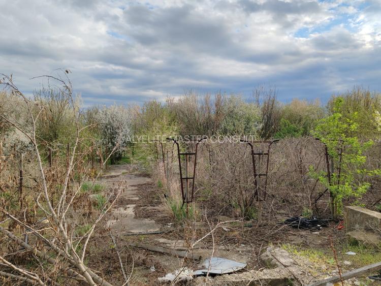 Domeniu teren si constructii, Muntenii de Sus, DN 24, Vaslui - 7