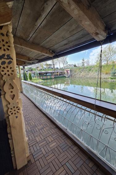 Vând teren cu iaz și livadă de nuci – Ilișești, aproape de Suceava - 16