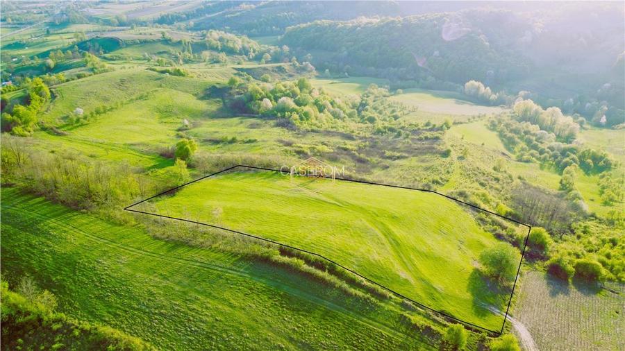 Teren de 9.500 mp in Maramures | Varf de deal, priveliste de pus in rama | Retre - 5