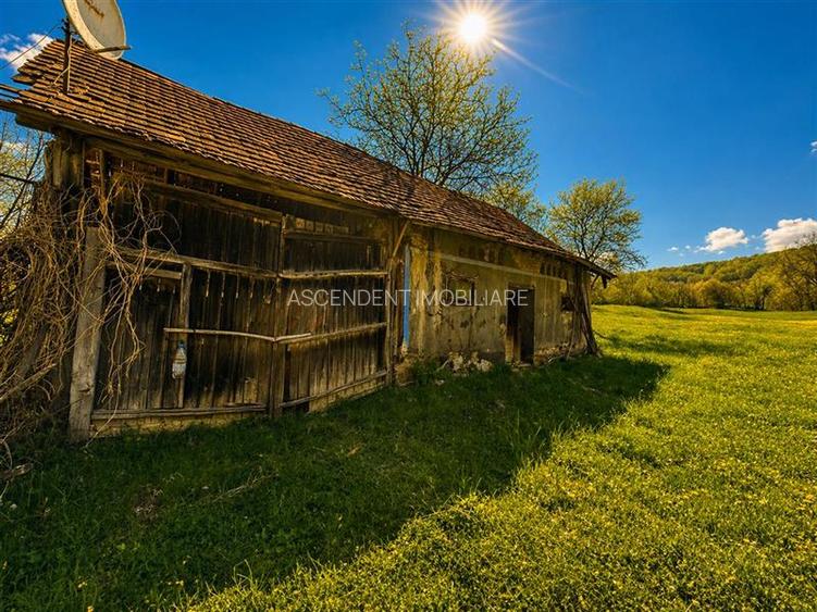 Domeniu de 3.400 mp cu traditionala casa, Suveica, Acatari Mures - 9