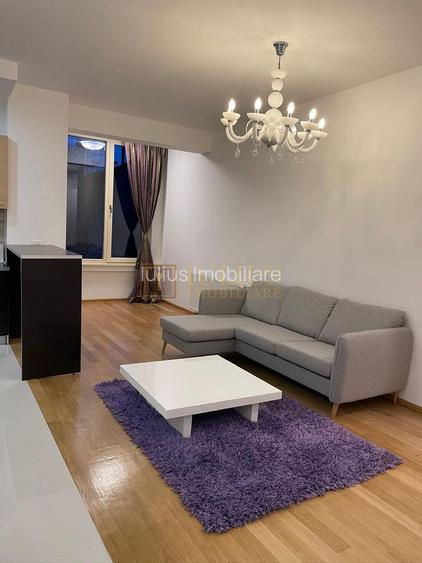 2 camere, langa ISHO-bulevardul Take Ionescu, apartament superb - 4