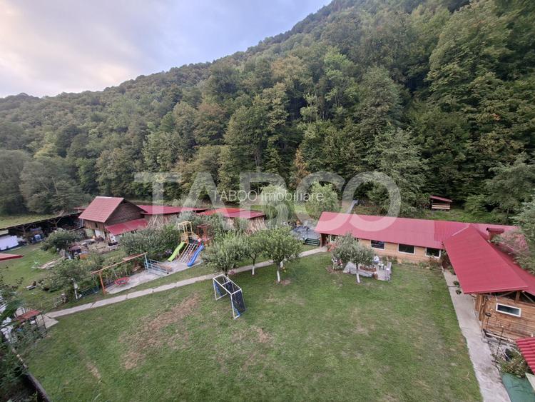 Spatiu de vanzare in Valea Macesului judel Valcea iesire la Lotru - 40