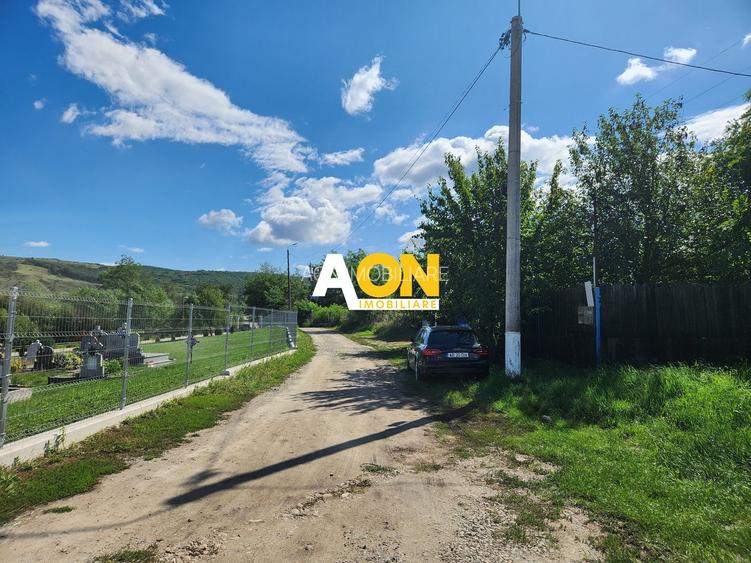 De vanzare 2965 mp teren intravilan, toate utilitatile, Oarda de Sus - 12