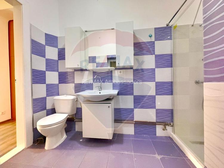 Casă / Vilă cu 6 camere de vânzare în zona Elisabetin - 10