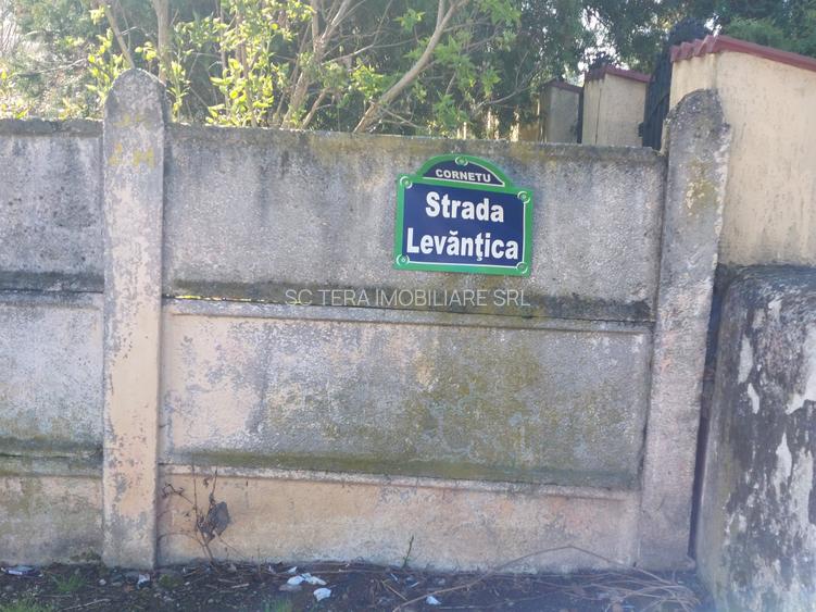 VANZARE TEREN INTRAVILAN CORNET - 9