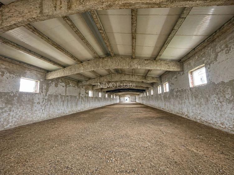 Hala Industrială / Agricolă | 800 MP Construcție + 800 MP Teren | - 2