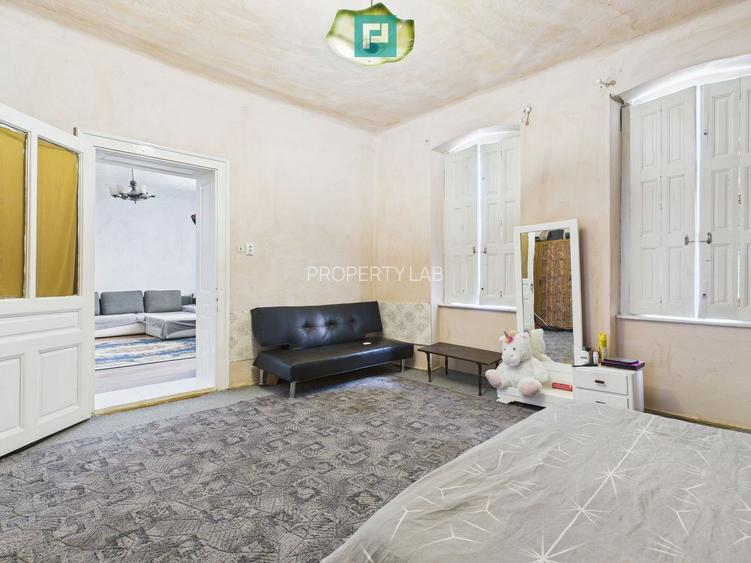 Casă cu grădină mare la 30 km de Timișoara - 12