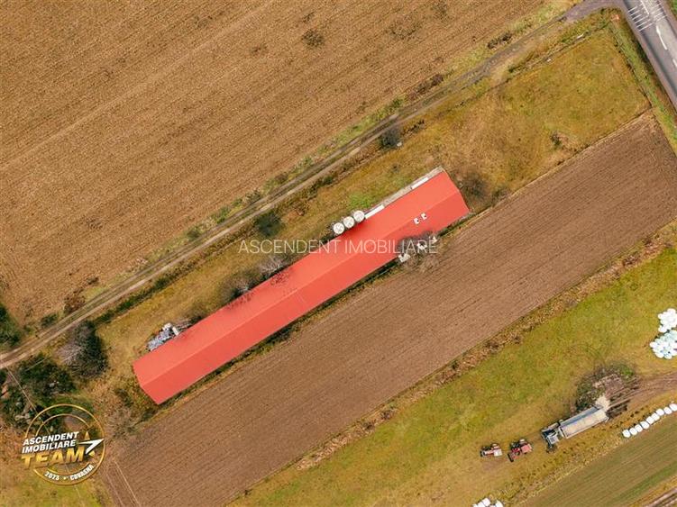 FILM! Ferma de iepuri,Malnas,Covasna: domeniu:industrial/comercial,asset UE - 41