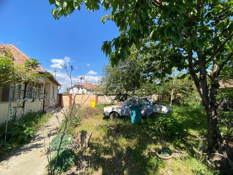 Casa de vânzare in Pecica Arad - 10