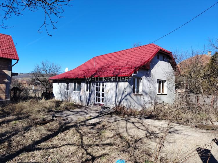 Proprietate de vânzare formată din două case, în Moacșa! - 8