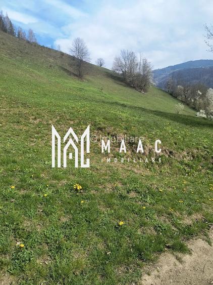 Un colt de rai in Apuseni I viața ca pe vremuri - 7