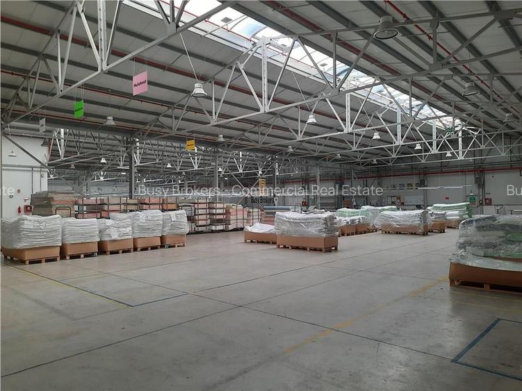 Spatiu Industrial - 6500 mp - Productie - Depozitare - 6