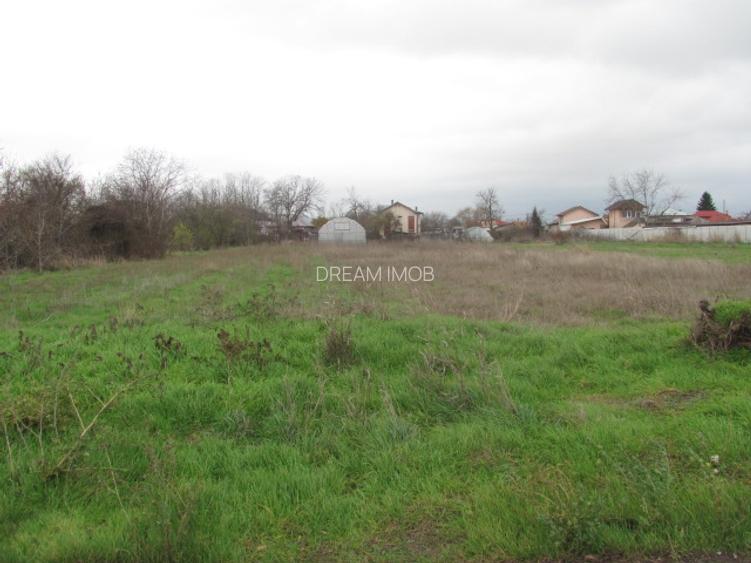 Cornetu - Crizantemelor, Stradal - 5